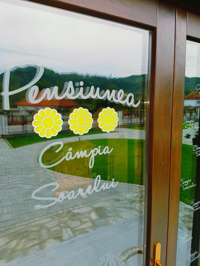 Pensiunea Campia Soarelui Apa Neagră Exteriör bild