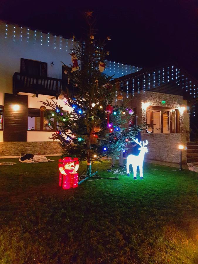 Pensiunea Campia Soarelui Apa Neagră Exteriör bild